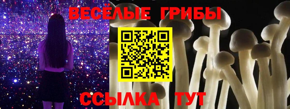 Йошкар-Ола  Псилоцибиновые грибы прущие грибы  Псилоцибиновые грибы ЛСД  Вход с VPN 