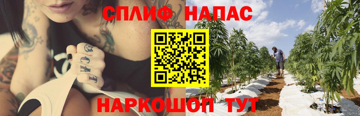 Канабис марихуана Йошкар-Ола